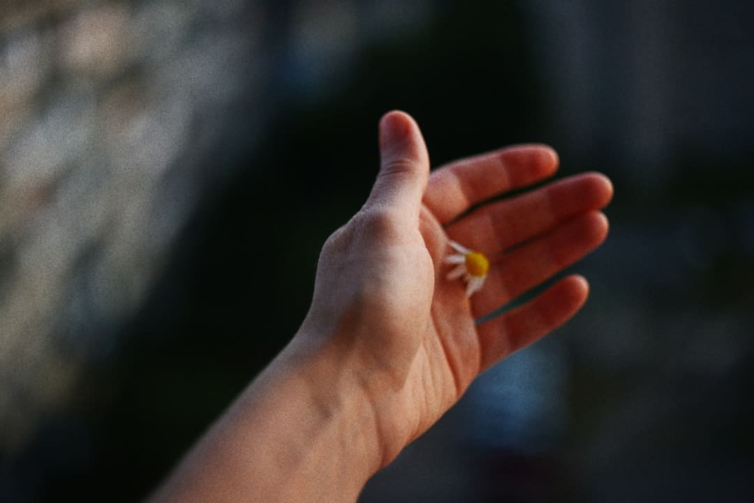 不分红的格力，到底在急什么？